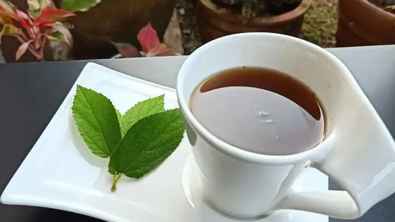 Teh Jahe Daun Kersen