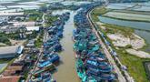 Pemandangan udara menunjukkan kapal-kapal nelayan berlabuh di Pelabuhan Juwana, Jawa Tengah, Rabu 6 Mei 2026. Kenaikan harga Bahan Bakar Minyak (BBM) diesel nonsubsidi (solar industri) per 4 Mei 2026, menyebabkan ribuan nelayan, khususnya di wilayah Pantura (Indramayu dan Pati), tidak dapat melaut. (Devi RAHMAN/AFP)