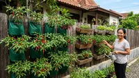 Cara Membuat Kebun Cabai Vertikal di Pagar Rumah, Solusi Hemat Lahan untuk Pemula