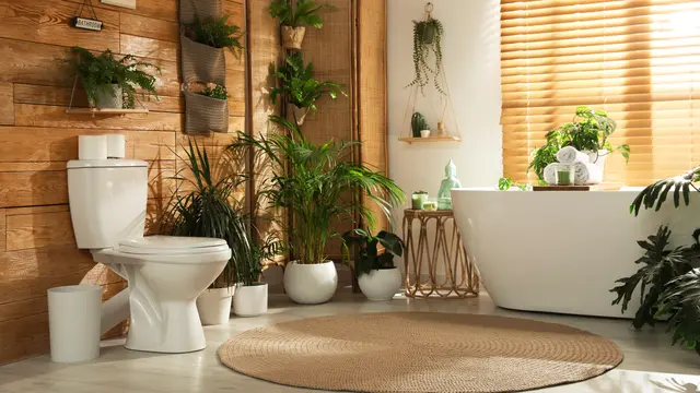 Ide Toilet Minimalis dengan Desain Estetik yang Bisa Ditiru