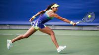 Ana Ivanovic