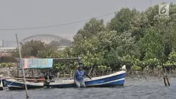 Aktivitas nelayan di dekat hutan bakau yang tersisa di pesisir Marunda, Jakarta, Selasa (27/8/2019). Selain itu, data Global Forest Watch mencatat sejak 2001-2018 DKI Jakarta telah kehilangan tutupan hutan mencapai 24 hektare. (merdeka.com/Iqbal S. Nugroho)