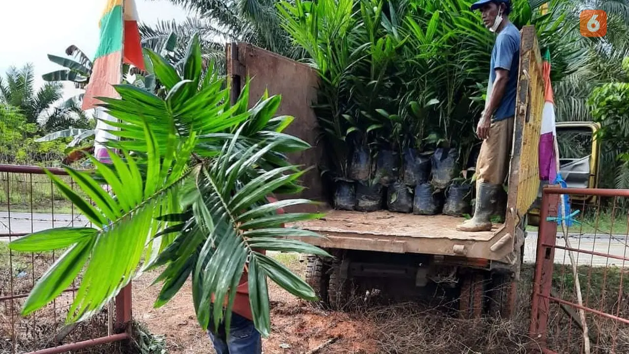 Kelapa Sawit