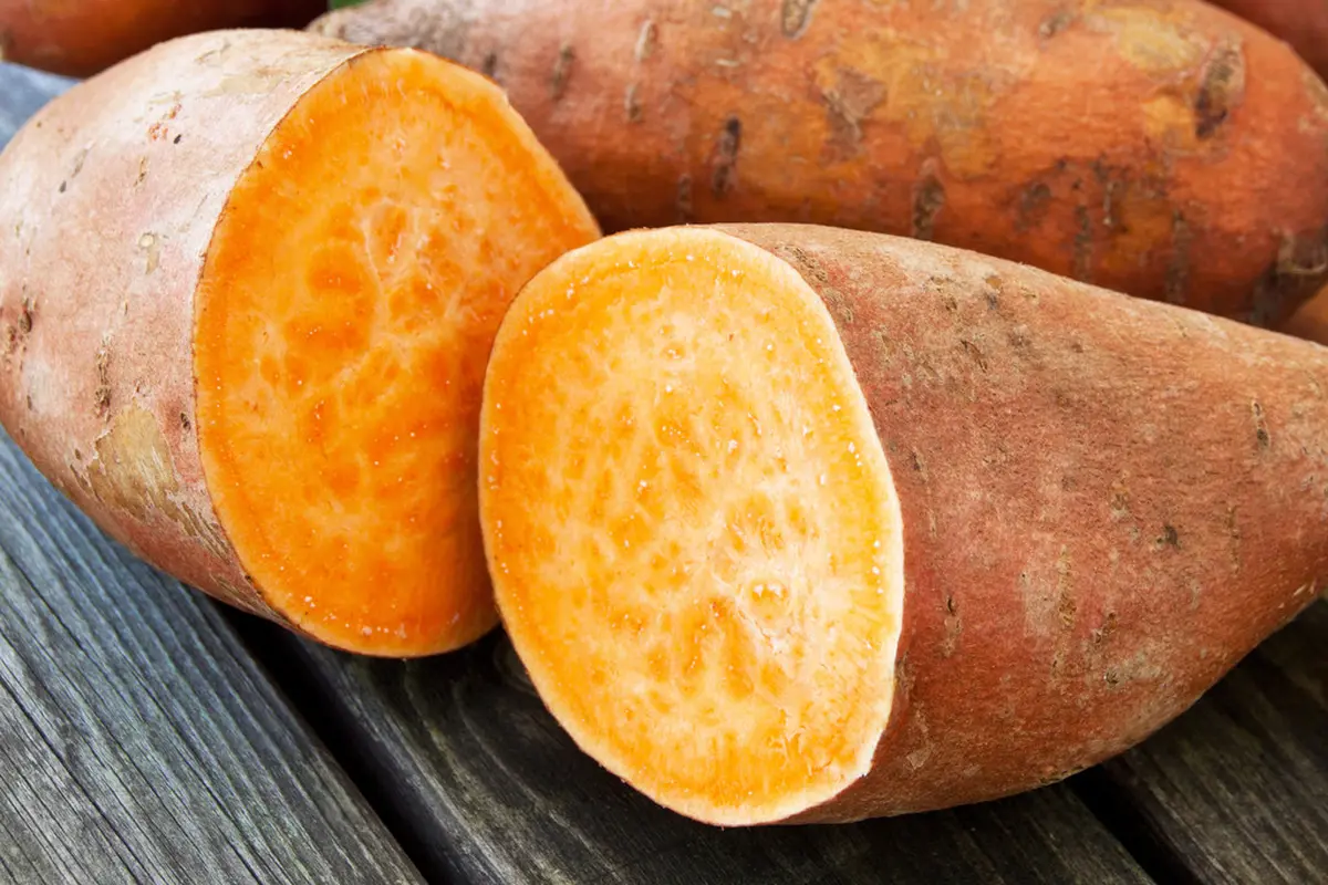 Resep Makanan dari Ubi