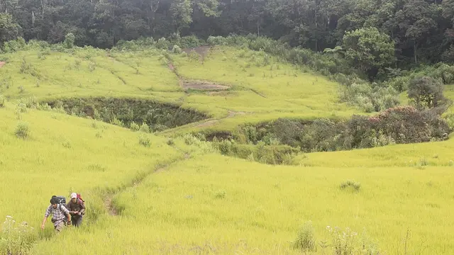 Tempat Wisata di Garut