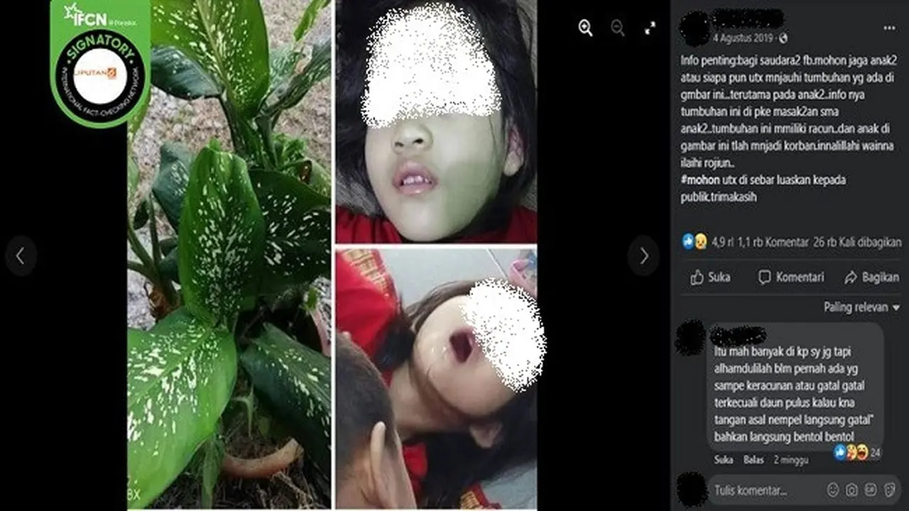 Gambar Tangkapan Layar Klaim Tanaman Sri Rejeki Bisa Membuat Kematian pada Anak (sumber: Facebook).
