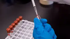 Indonesia Bangun Ekosistem Plasma Pertama, Apa Dampaknya bagi Kesehatan?