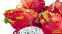 Manfaat dan Khasiat Buah Naga Bagi Kesehatan