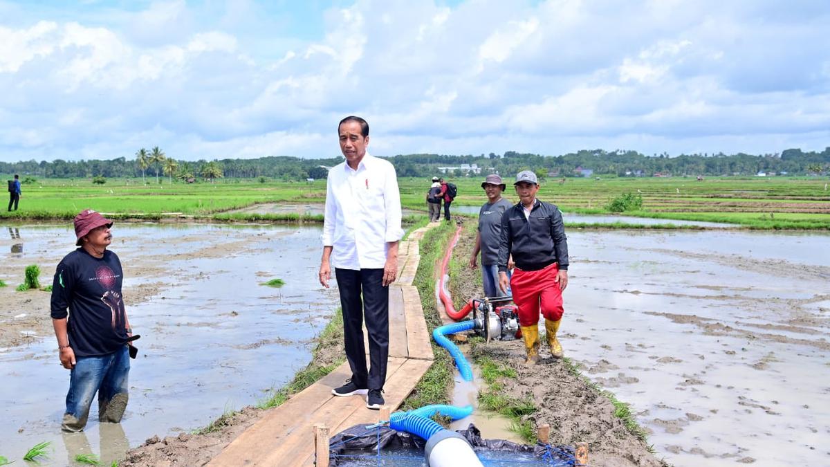 Jokowi Cek Pemberian Bantuan 300 Pompa Irigasi di Sulawesi Selatan Berita Viral Hari Ini Senin 8 Juli 2024