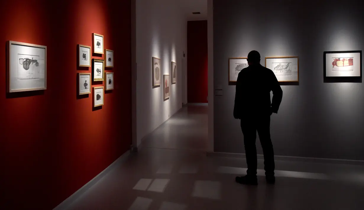 Seorang pengunjung mengamati karya seni di Museum Gugging di Klosterneuburg, Austria, pada 5 Agustus 2020. Museum Gugging, yang awalnya merupakan sanatorium kesehatan mental, kini memamerkan karya seni para mantan pasien dengan penyakit mental. (Xinhua/Guo Chen)