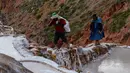 Pekerja berjalan di sepanjang pematang tambak garam Maras, Peru, 27 April 2019. Ahli geologi menyatakan, saat terjadi peristiwa terbentuknya pegunungan, air laut terjebak di kedalaman dan terakumulasi menjadi deposit garam. (Pablo PORCIUNCULA BRUNE/AFP)