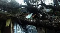 Angin kencang disertai hujan lebat mengakibatkan sejumlah pohon tumbang di Pulau Flores dan wilayah sekitarnya. (Liputan6.com/Ola Keda)
