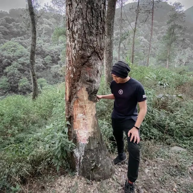 7 Momen Liburan Anji dan Keluarga di Gunung Puntang, Tidur di Antara Semak-Semak