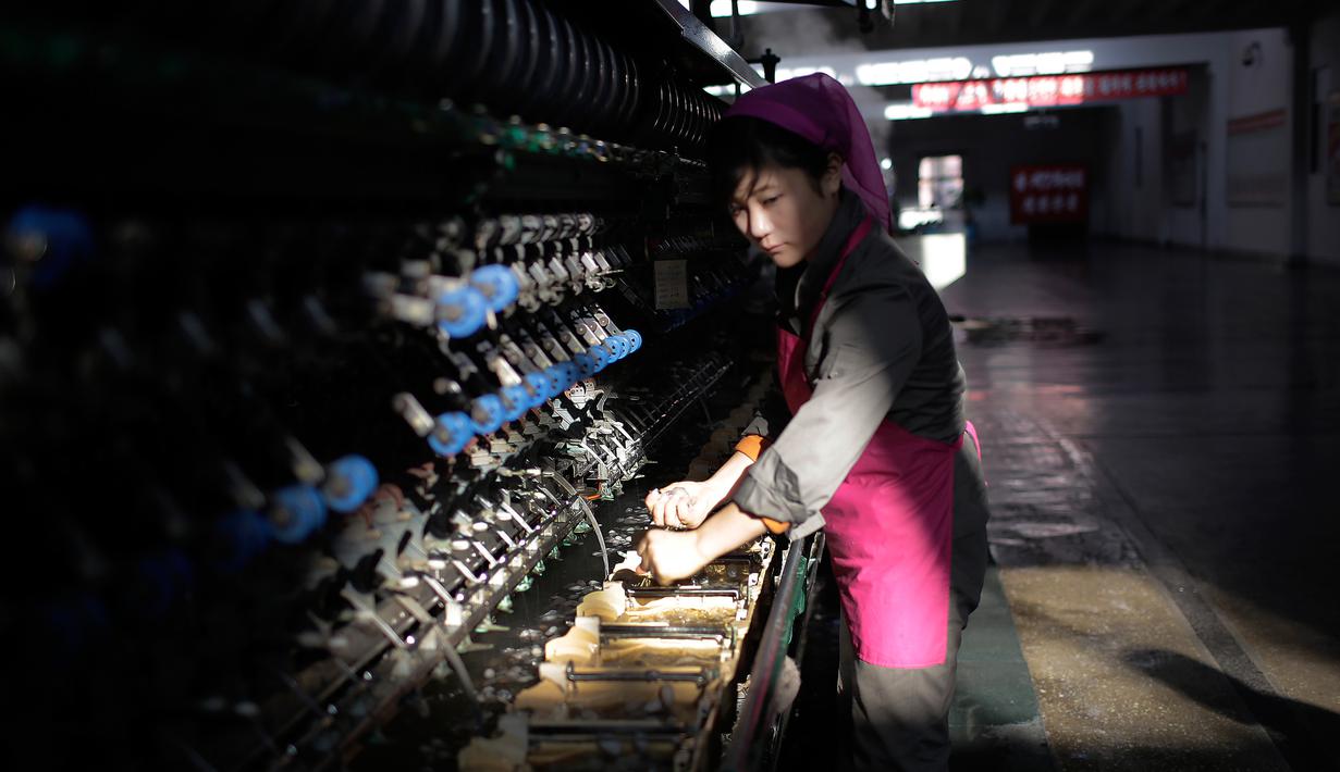 Seorang pekerja wanita memilah kepompong ulat sutra di Kim Jong Suk Silk Mill, Pyongyang, Korea Utara (6/1). Pabrik ini mampu menghasilkan benang sutra sebanyak 200 ton. (AP Photo/Wong Maye-E)