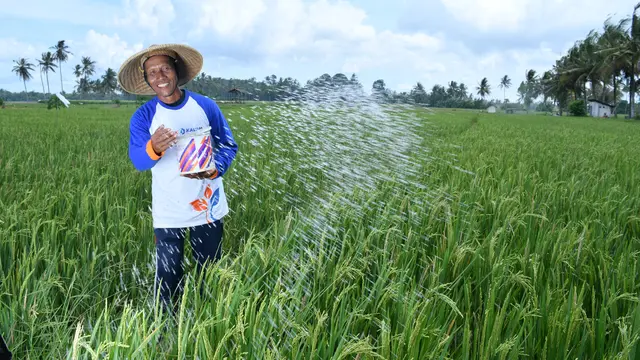 Strategi Pupuk Kaltim Bikin Petani Lebih Efisien dan Produktif