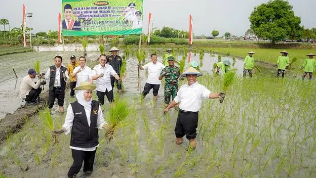 Jawa Timur Sumbang 25% Lahan Tanam Padi Nasional, Gubernur Khofifah: Komitmen Wujudkan Kedaulatan Pangan
