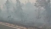 Gambaran kebakaran hutan yang terjadi di Kalimantan Asap yang ditimbulkan sudah di taraf mengganggu masyarakat. (Liputan6.com/ Sarasi)