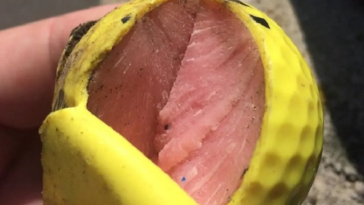 [Bintang] Makanan