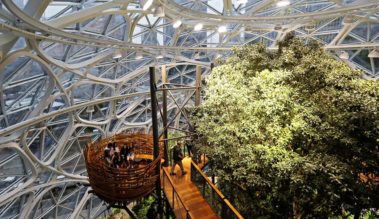 Para pengunjung bersantai di area "the nest" saat pembukaan kantor baru Amazon, The Spheres, di Seattle, Senin (29/1). Kantor bernuansa hutan hujan itu memiliki jalan setapak dan tempat rapat tidak biasa yang diengkapi beberapa kursi. (AP/Ted S. Warren)