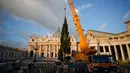 Sebuah derek dikerahkan untuk mendirikan pohon Natal raksasa di Lapangan Santo Petrus, Vatikan, Kamis (22/11). Tahun ini, pohon Natal itu baru akan diresmikan pada 7 Desember dan lampunya tetap menyala hingga 13 Januari 2019. (AP/Andrew Medichini)