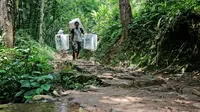 Warga membawa kotak suara untuk didistribusikan ke tempat pemungutan suara (TPS) menjelang pemilihan umum pada 14 Februari, di desa Kanekes, Kabupaten Lebak, Banten, Selasa, 13 Februari 2024. (AP Photo/Rangga Firmansyah)