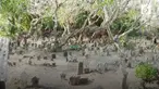 Warga Sidoarjo dihebohkan dengan hilangnya sebuah tali pocong dari dalam makam. Kehebohan berlanjut karena pelaku belum ditemukan.