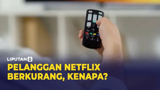 pelanggan netflix