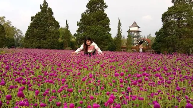 26 Tempat Wisata Seru di Bogor yang Jadi Pilihan Liburan Keluarga