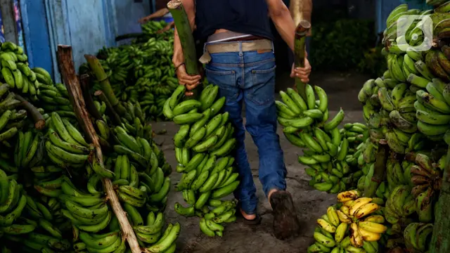 Kebutuhan akan Pisang Meningkat