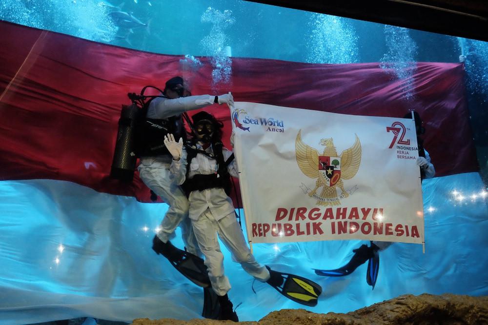 Seawolrd Ancol mengadakan pengibaran bendera saat 17an di bawah air