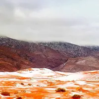 Memiliki suhu rata-rata 30 derajat celcius, Gurun Sahara turun salju. (Via: 