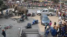 Warga menyaksikan gajah liar yang mengamuk di depan pusat perbelanjaan di Siliguri, India, Rabu (10/2). Gajah yang panik itu lari membabi buta, merusak mobil-mobil dan motor-motor yang diparkir sebelum terkena obat penenang. (AFP PHOTO / Diptendu Dutta)