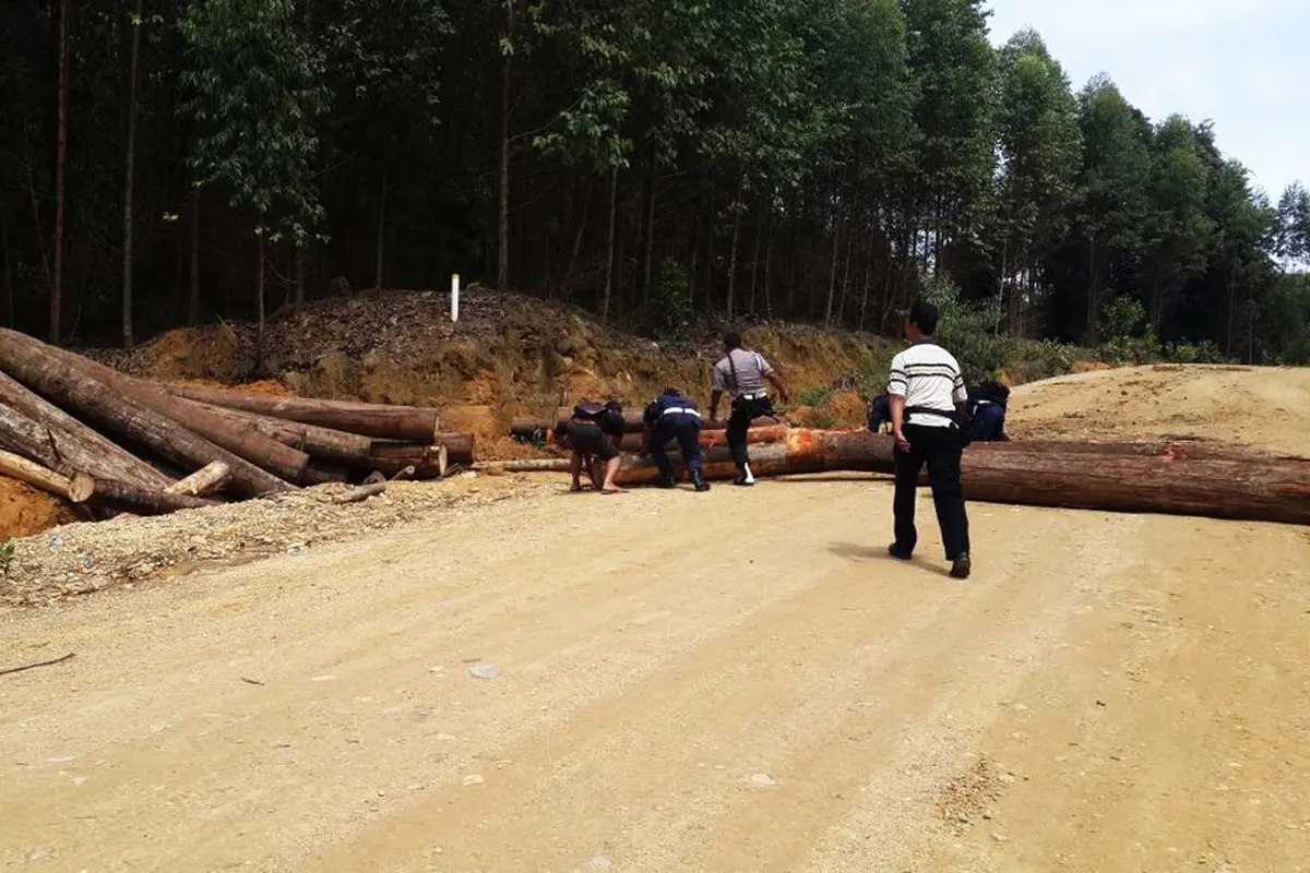 Pembalakan Liar