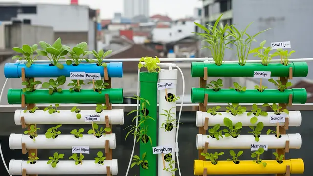 Model Kebun Mini untuk Anak-anak Belajar Berkebun di Rumah