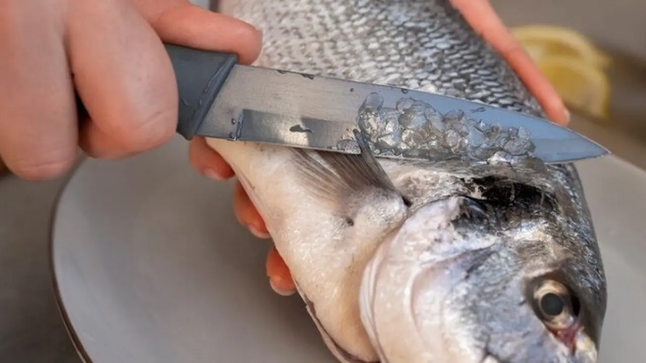 Foto Mengolah Ikan (Sumber: freepik.com)