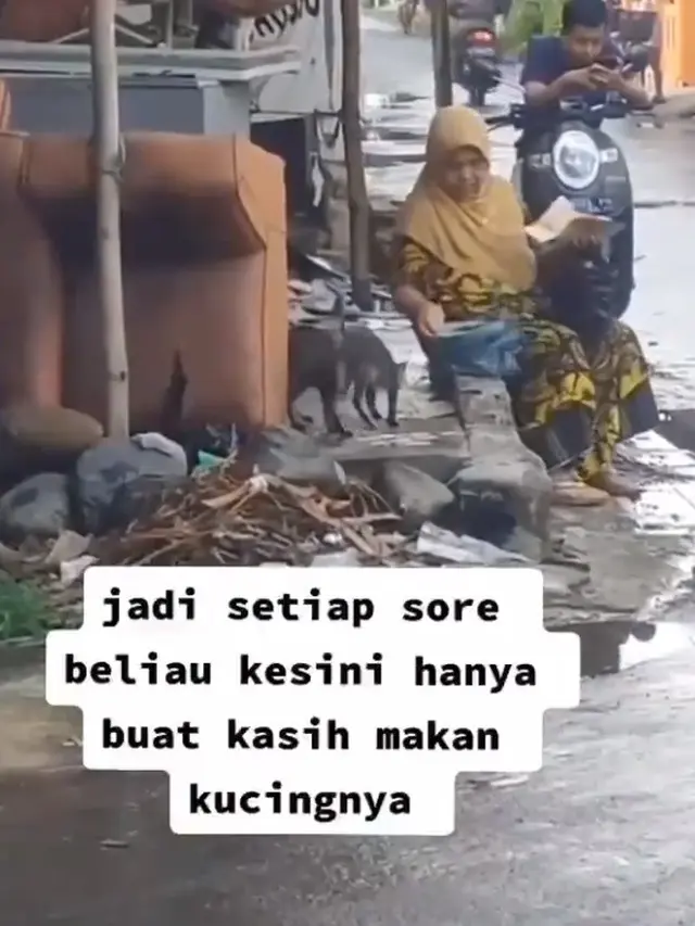 Kerap Beri Makan Kucing Liar Sekitar Rumah, Kisah Ibu Ini Bikin Haru