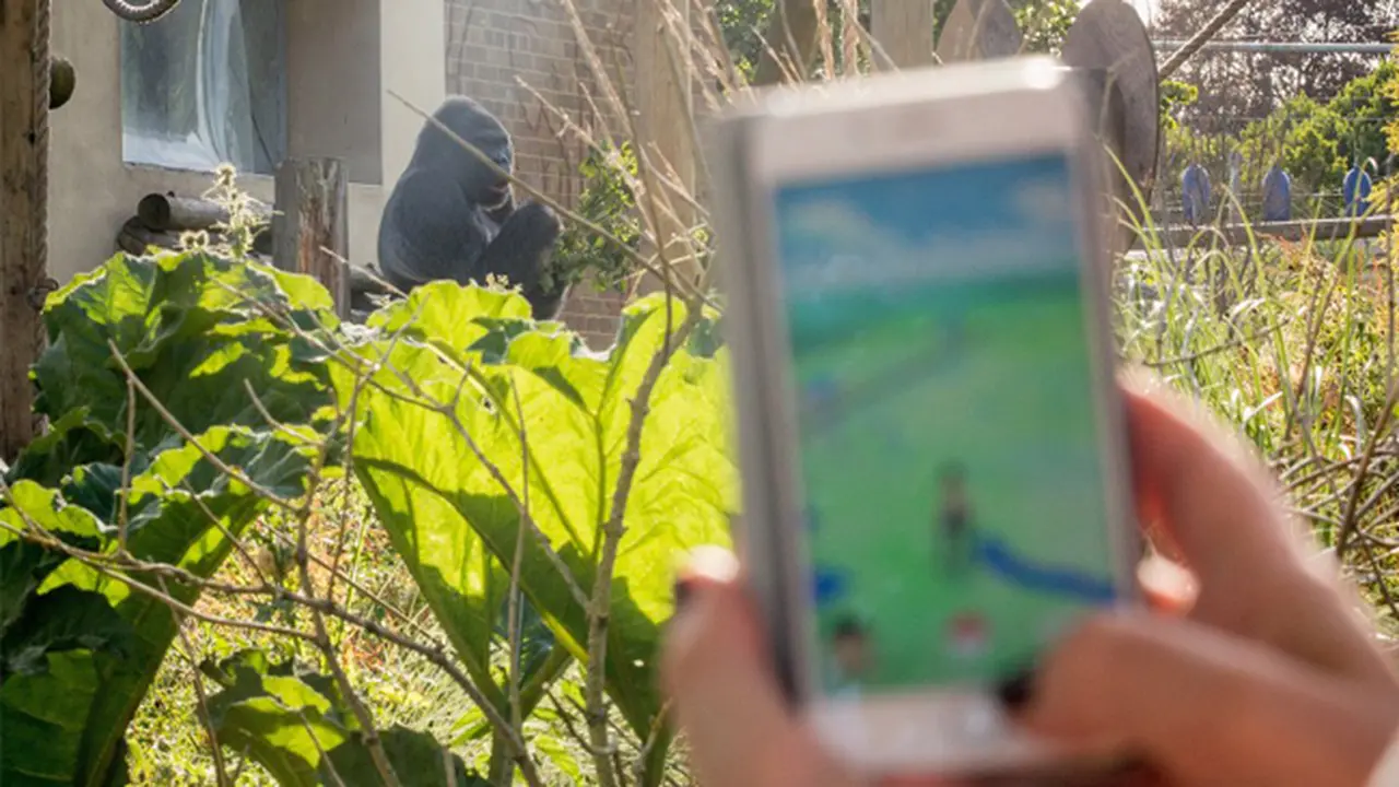 Diserbu Pemburu Pokemon Go, Pesta `Lure` di Kebun Binatang Tutup
