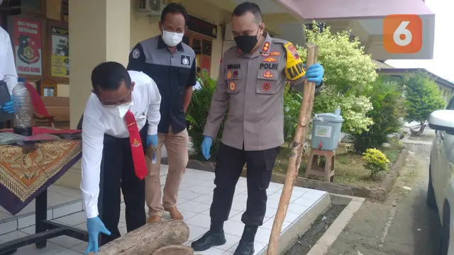 Polres Blora saat menunjukkan barang bukti kasus pembalakan liar yang terjadi di wilayah hukum Blora. (Liputan6.com/Ahmad Adirin)