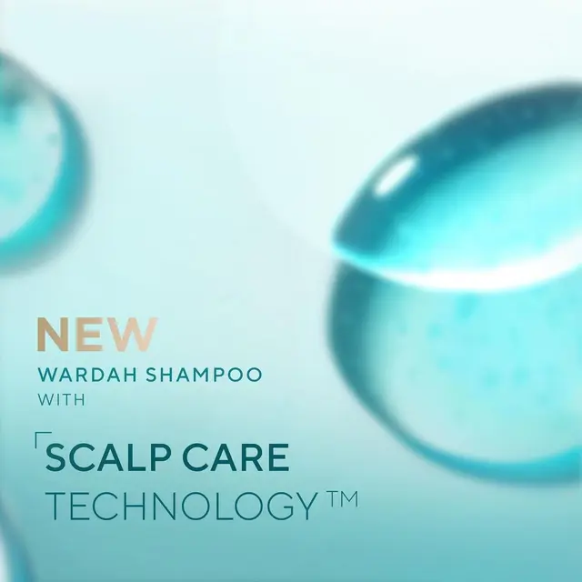 Mengintip Transformasi Wardah Shampoo Sebagai The Real Hijab Shampoo Expert, Apa Sih yang Baru?