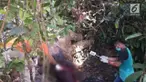 Gajah bernama Bunta ditemukan tewas dan hilang salah satu gadingnya.