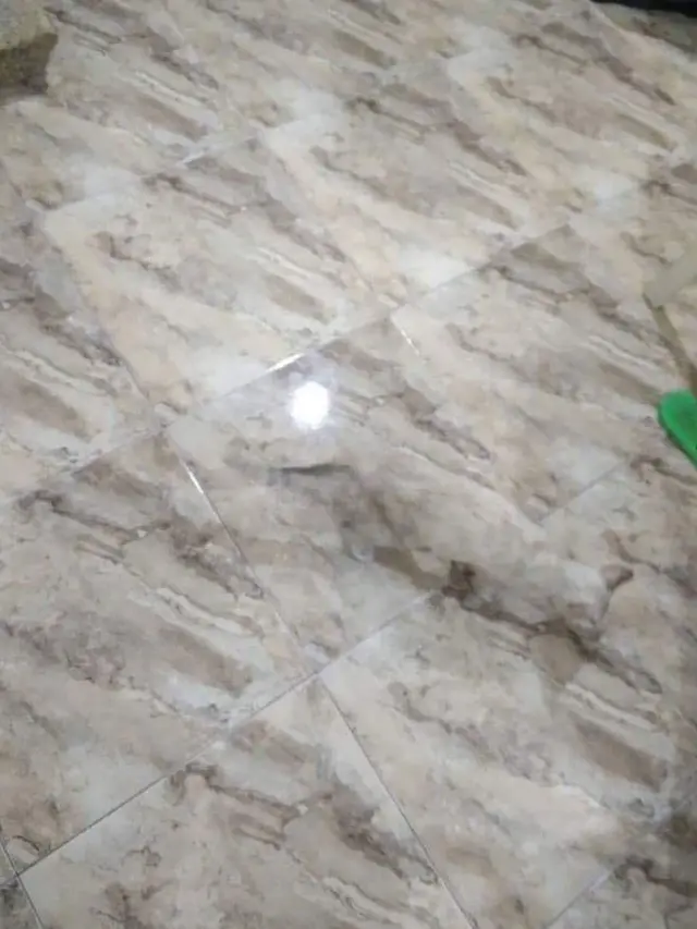 7 Potret Kamuflase Ini Bisa Bikin Kamu Bingung, Mesti Dilihat Lebih dari Sekali