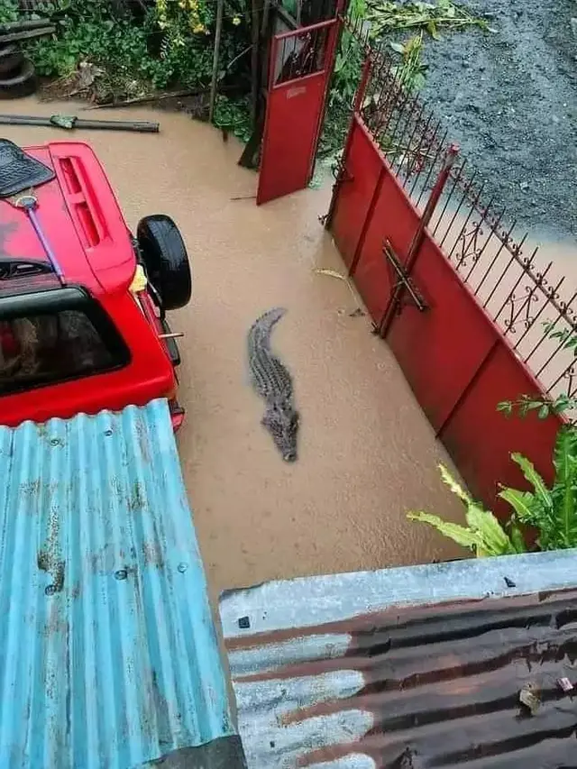 8 Potret Nyeleneh Orang Amankan Rumah dari Maling Ini Kocak Banget