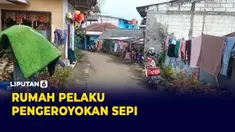 THUMBNAIL pelaku