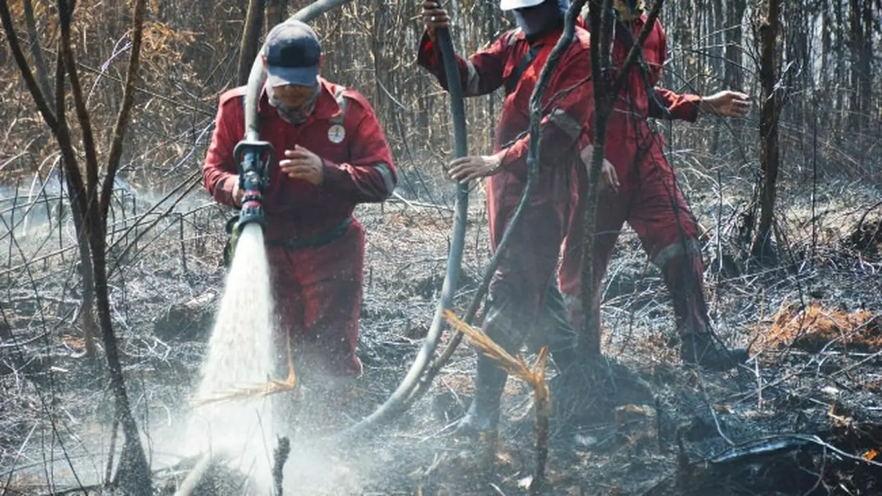 Proses pemadaman kebakaran lahan di Kabupaten Bengkalis.