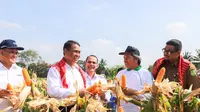 Menteri Pertanian, Andi Amran Sulaiman (Mentan Amran) didampingi Walikota Medan, Bobby Afif Nasution, melakukan panen dan tanam jagung di Kota Medan.