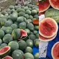 Viral Aksi Petani Injak-Injak Semangka Karena Tak Laku (Sumber: Tiktok/akhtarnakula)