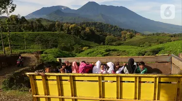 Sejumlah siswa menumpang truk di kawasan Cikoneng, Bogor, Selasa (30/3/2021). Untuk menuju sekolahnya di SDN Cikoneng, sebagian siswa harus menumpang truk, jalan kaki dan membawa kendaraan pribadi karena akses jalan yang sulit di daerah perbukitan perkebunan teh. (Liputan6.com/Herman Zakharia)