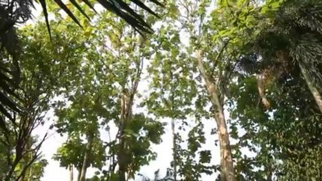 Rumah Indra Herlambang