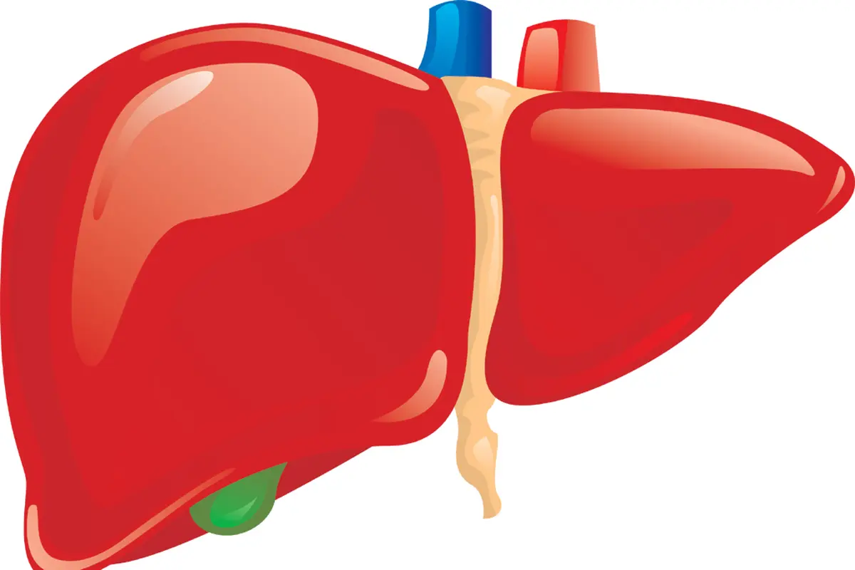 Hari Hepatitis Sedunia 2015, Fokuskan Pada Pencegahan