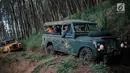 Dua mobil offroad 4x4 klasik Land Rover melewati hutan pinus menuju trek Sukawana-Cikole di Kab Bandung Barat, Jawa Barat, Jumat (19/10). Wisata offroad di Kab Bandung Barat ini memiliki panjang trek 18 km. (Liputan6.com/Faizal Fanani)